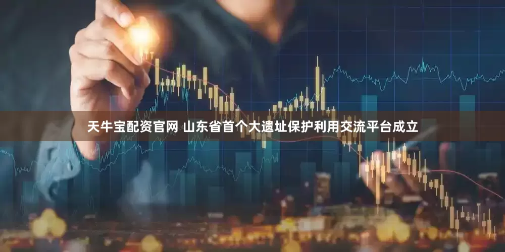 天牛宝配资官网 山东省首个大遗址保护利用交流平台成立
