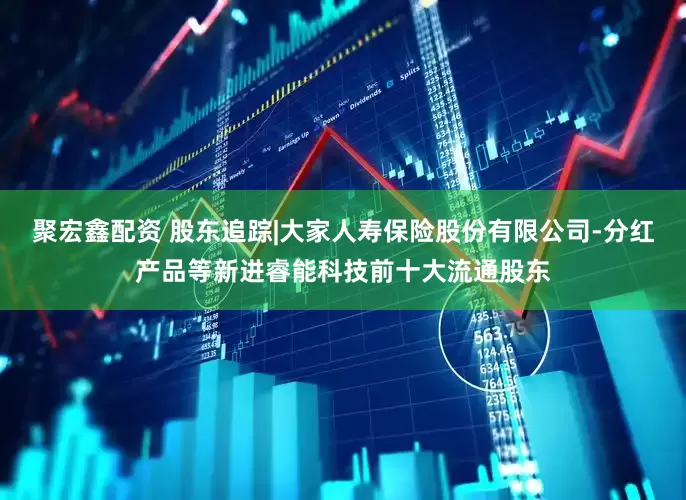 聚宏鑫配资 股东追踪|大家人寿保险股份有限公司-分红产品等新进睿能科技前十大流通股东